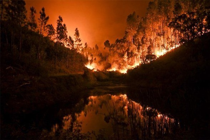 Масштабна пожежа у Португалії: оголошено триденний траур