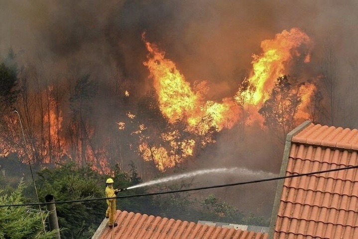 ЄС надсилає до Португалії літаки для ліквідації масштабних пожеж