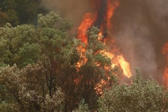 У Португалії під час гасіння лісових пожеж впав літак-бомбардувальник