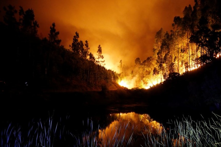 МЗС рекомендує українцям утриматися від відвідування зони лісових пожеж у Португалії
