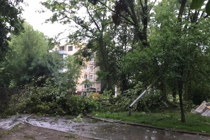 Буря наробила лиха у Львові