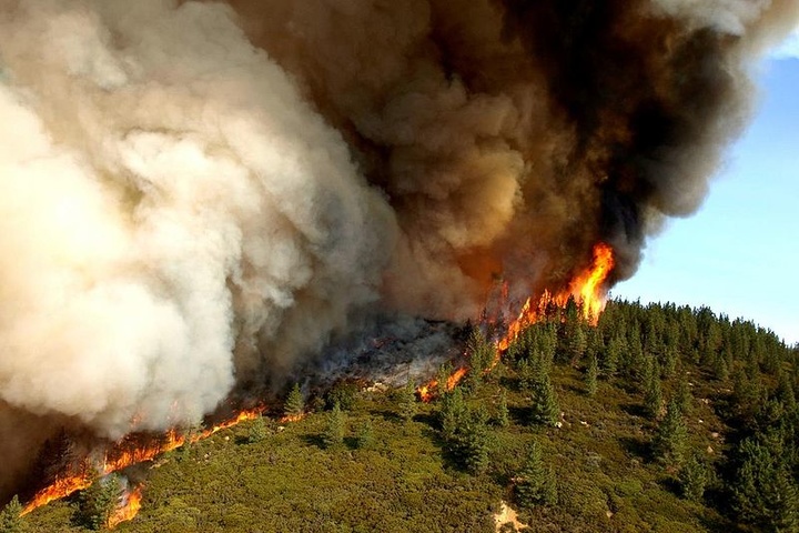 У США через сильну спеку спалахнули 18 масштабних пожеж