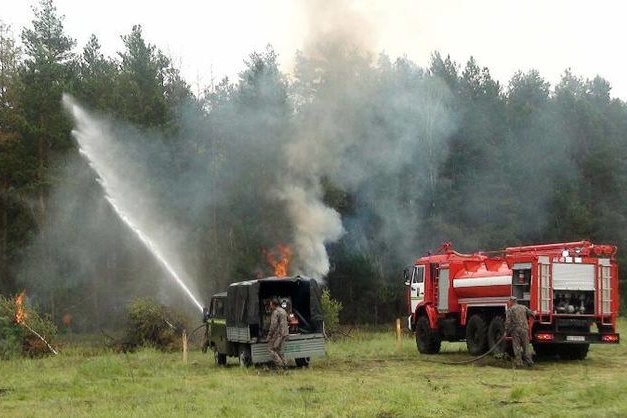 У Чорнобильській зоні горить ліс, залучено літаки та сотню рятувальників