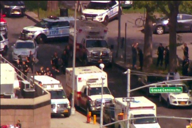 Стрілянина у лікарні Нью-Йорка: одна жінка загинула, шестеро поранених