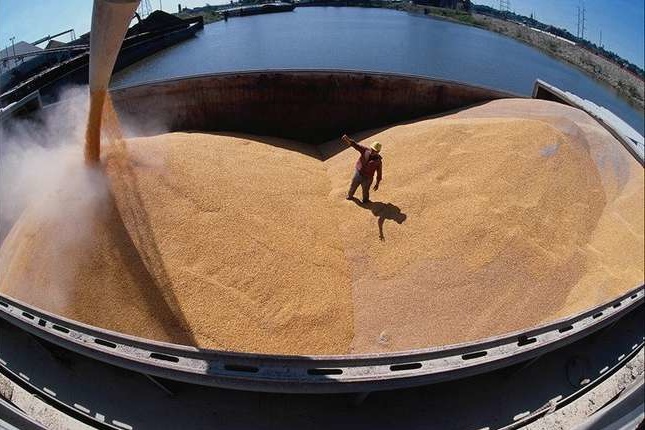 Україна встановила рекорд з експорту зернових 