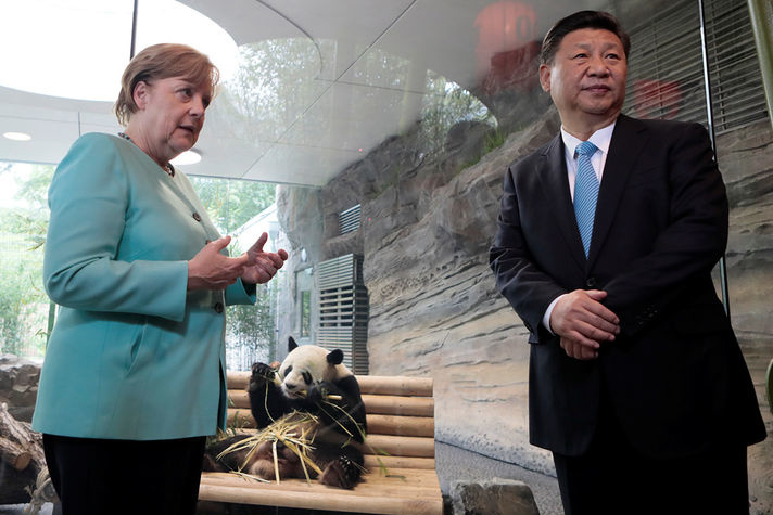 Бамбукові дипломати. Ангела Меркель і Сі Цзіньпін відкрили у Берліні сад для панд