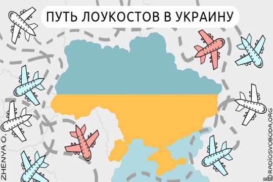 Как директор аэропорта «Борисполь» взял в заложники Украину