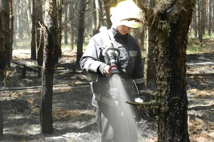 На Херсонщині – пожежа у лісництві