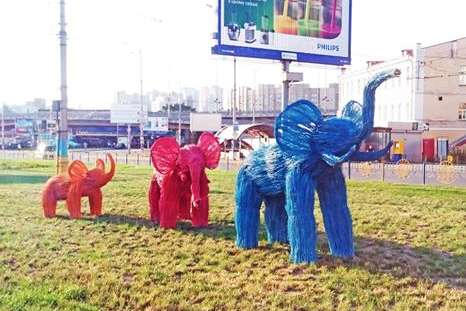 Кольорові слоненята з'явилися у Голосіївському районі столиці (фото)