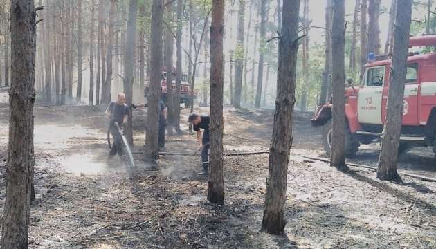Херсонська область потерпає від масштабних лісових пожеж