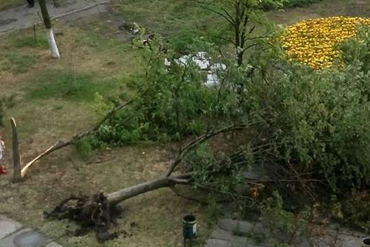 Ураган обесточил Борисполь, повалены деревья