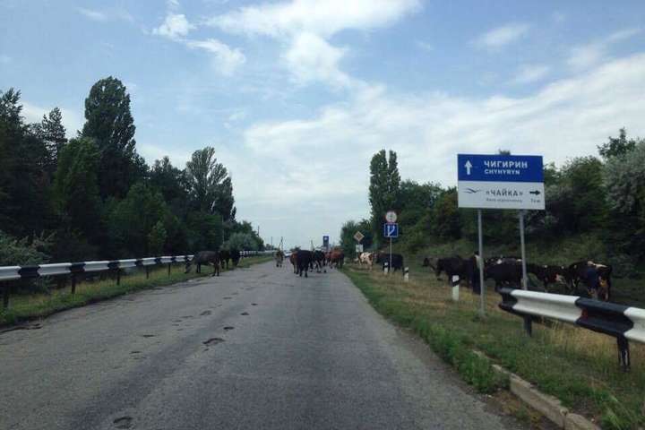 «Есть дороги только для коров»: министр Омелян провел мини-инспекцию