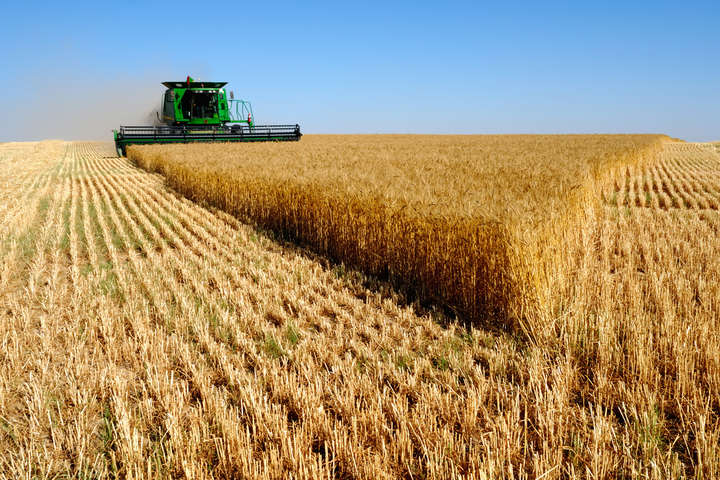 В Україні вперше провели торги ф'ючерсними контрактами на зернові
