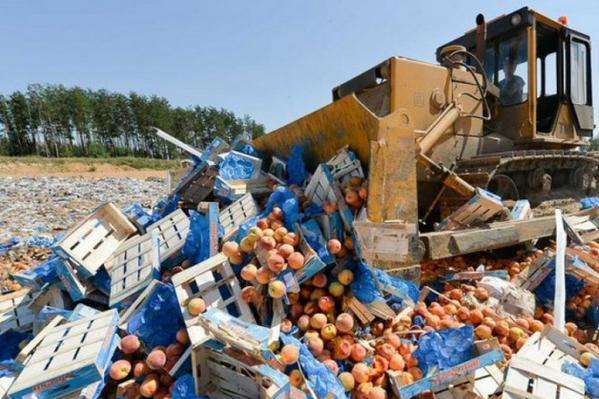 Росія похвалилася кількістю знищених іноземних продуктів