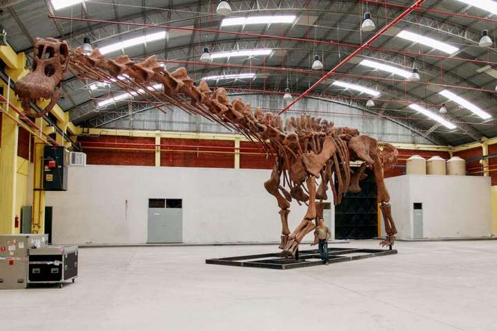 Палеонтологи виявили в Аргентині найбільшого у світі динозавра