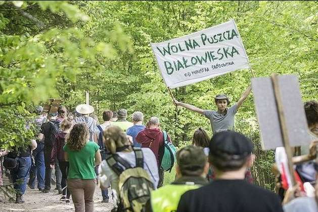 Сотні європейців протестували у Польщі проти вирубки Біловезької пущі