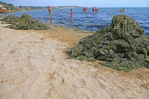 Пляж під Одесою перетворився на смердюче болото (фото) 