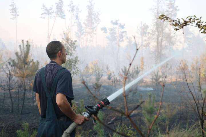 Рятувальники локалізували пожежу трав'яного настилу у Києві