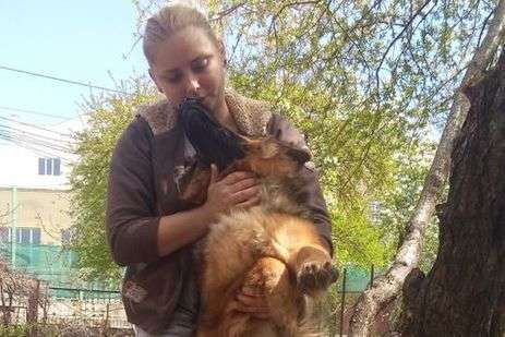 В Одесі затримали жінку, яка підвішувала на дереві собаку