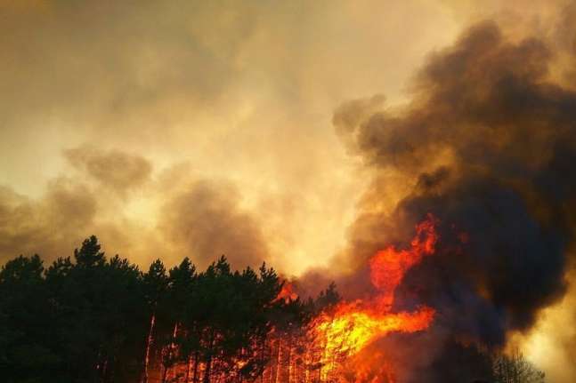  В Україні оголосили найвищий рівень пожежної небезпеки