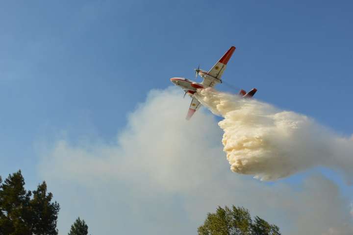 Вогнеборці на Житомирщині гасять велику лісову пожежу