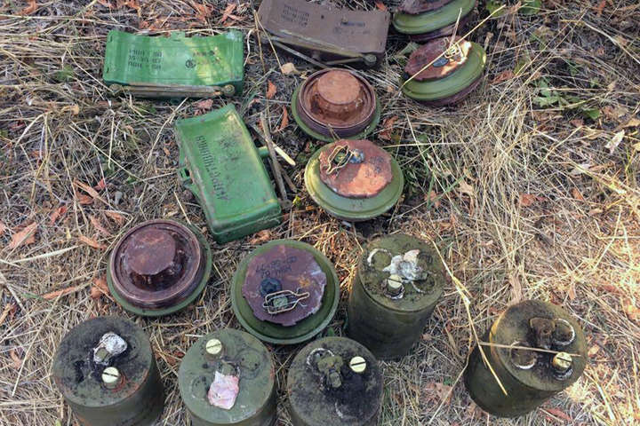 На Донеччині поліція виявила схованку боєприпасів та вибухівки