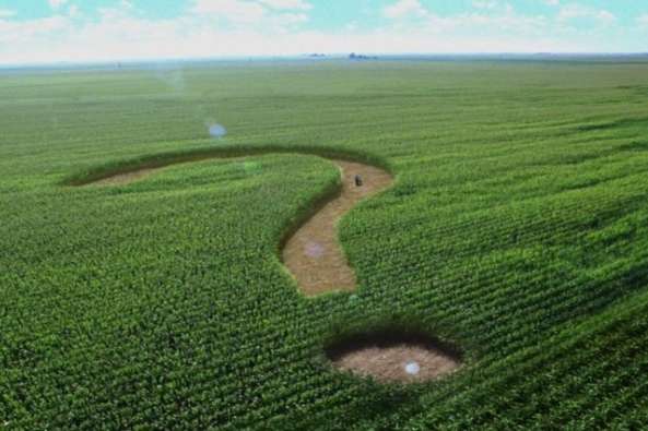 ��� �������� �� ��������� ������ � ������