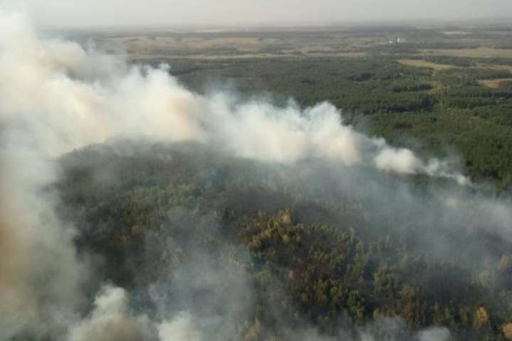 На Харківщині масштабна лісова пожежа: вогонь підбирається до населених пунктів