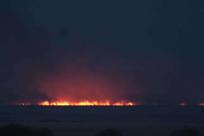 На Одещині сталася масштабна пожежа в Нижньодністровському природному парку
