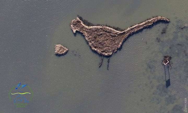 В Одеській області на лимані з'явився острів у формі птаха
