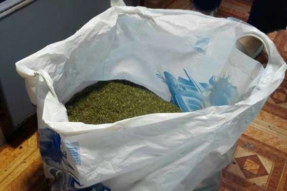 На Одещині правоохоронці вилучили понад 200 кг марихуани