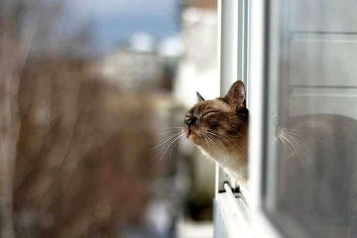  ����� ����� ���� ������ ������ ��� ���� ���� 