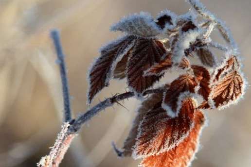  ������ ��� ���� ����� ����������� ��� ��� ���� 