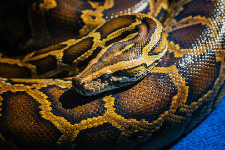  ���� ���� ������ ������� ��� 