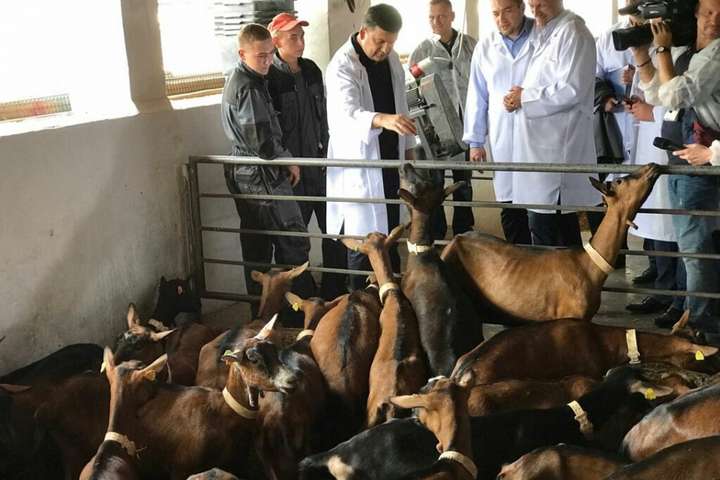  �������� ����� ������ ������� 