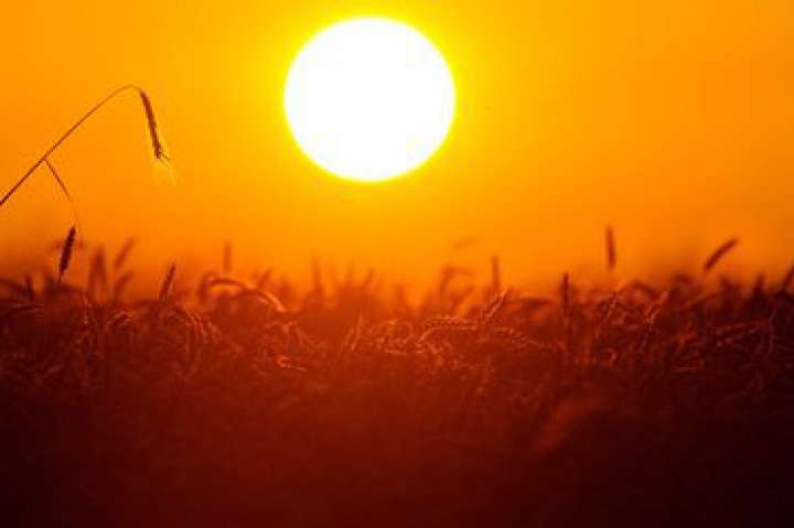 ����: glavcom.ua