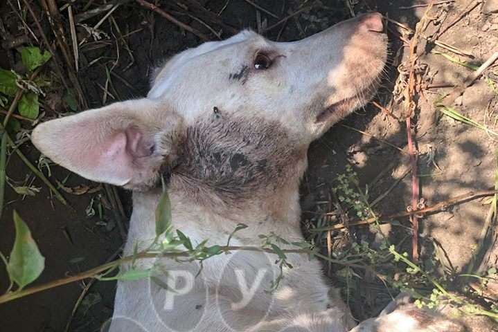  ���� ���� �������� 