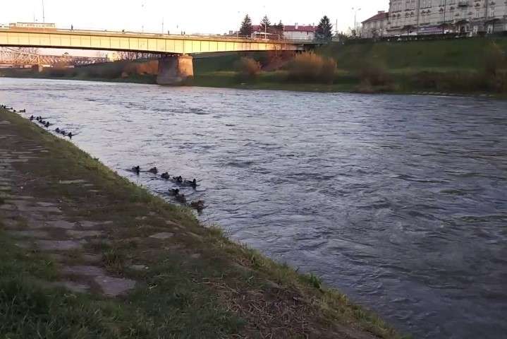  ���� ��� ������� ���� ���� 