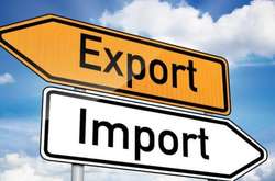 Українську економіку продовжує «штовхати» торгівля імпортом - Пинзеник