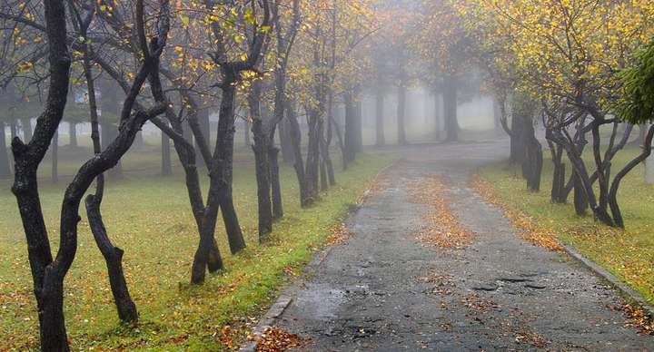 ����: glavcom.ua