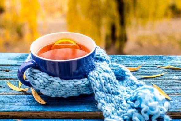  ��� ��� ����� ���� ���� ��� ������ �������� 