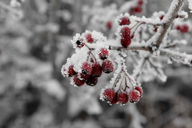 ����: glavcom.ua