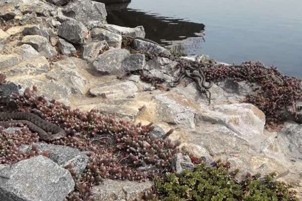  ��������� ������� ������� 