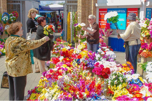  ������ ���� ����������� ��� ������ 