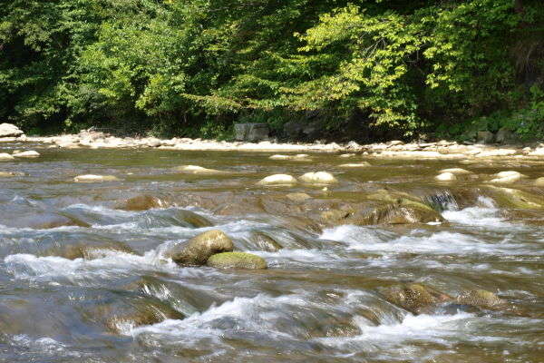  ��� ���� ��� �������� ��� ��� ��������� ���� 