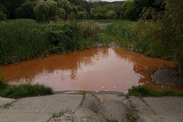 Озера в Голосієві стали помаранчевими через скид невідомої речовини (фото)