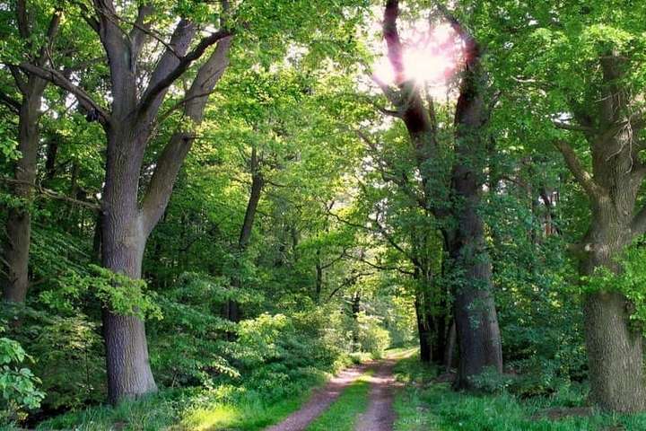  ��������� ��������� ������������ ��� ������� 