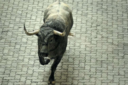  ��� ��� ��� ����� �������� 