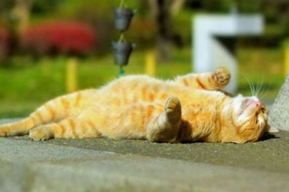  ������ ���� ����� ��� ��� ����� ���� ����������� 