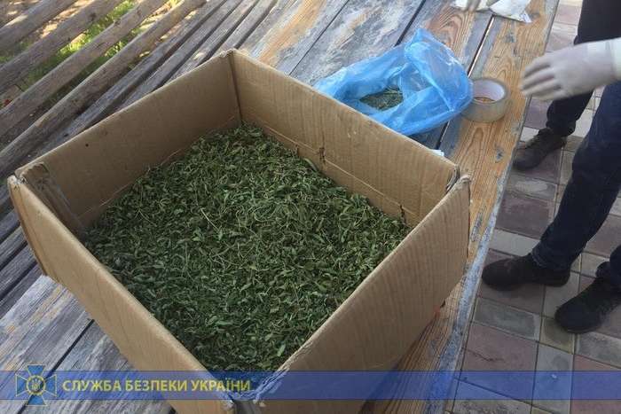 На Луганщині СБУ заблокувала канал контрабанди наркотичних засобів (фото)